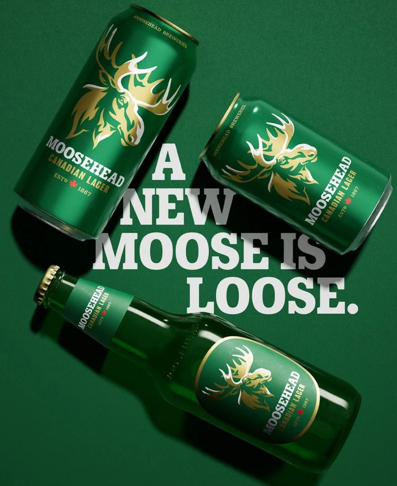 Moosehead Lager Dose 355ml- Goldenes Lager aus Kanada mit 5% Vol.