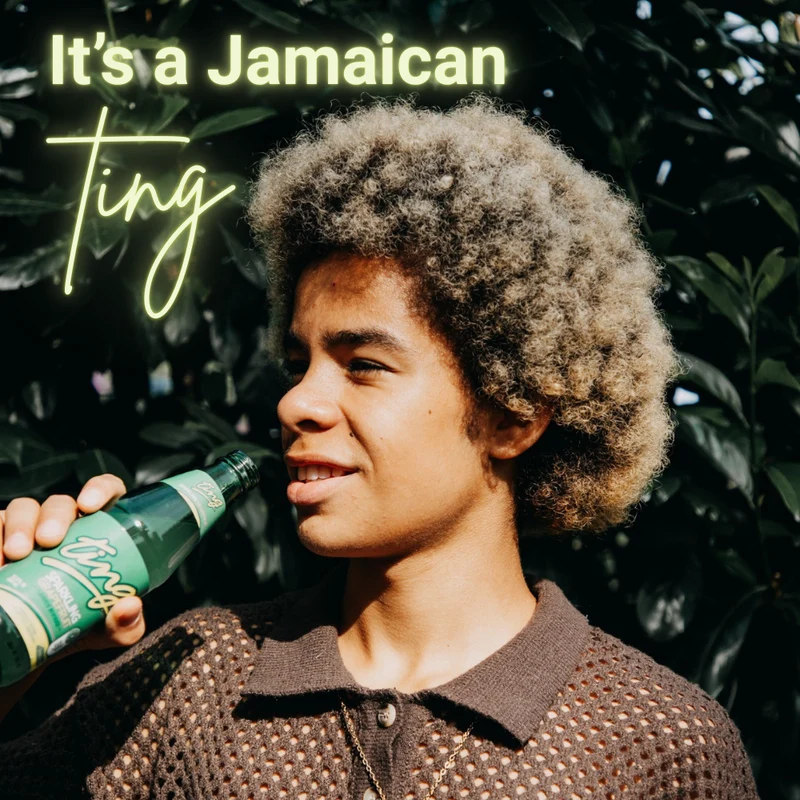 Ting – Original jamaikanische Grapefruit Limonade
