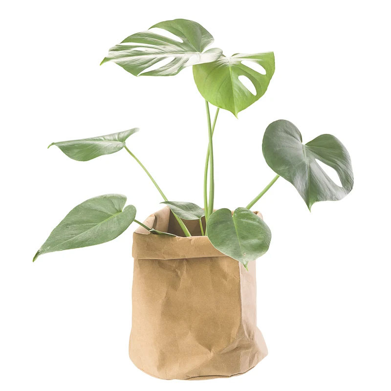CRÉTON MAISON Pflanzsack