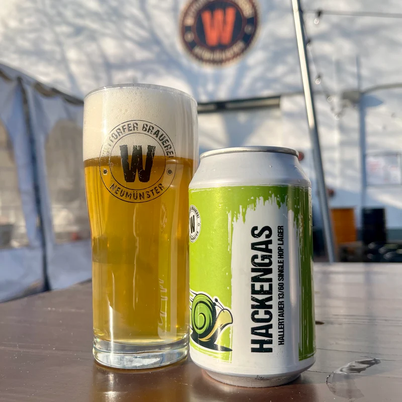 HACKENGAS 7 - HALLERTAUER 13/60 SINGLE HOP LAGER