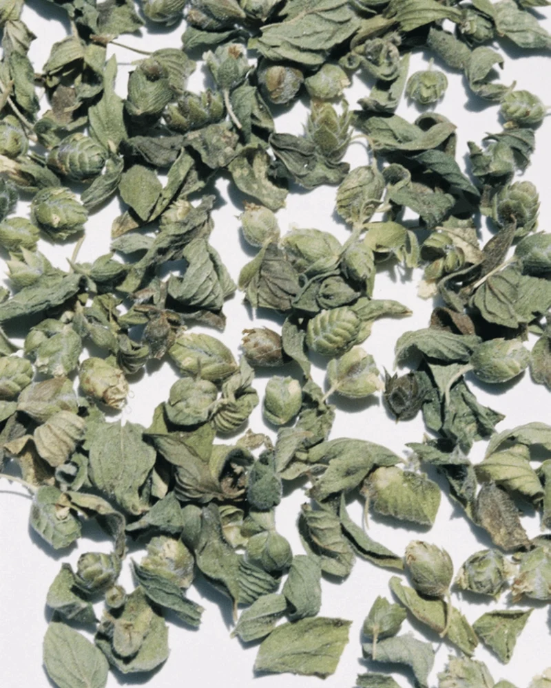 Oregano von den Ägäischen Inseln, 9g