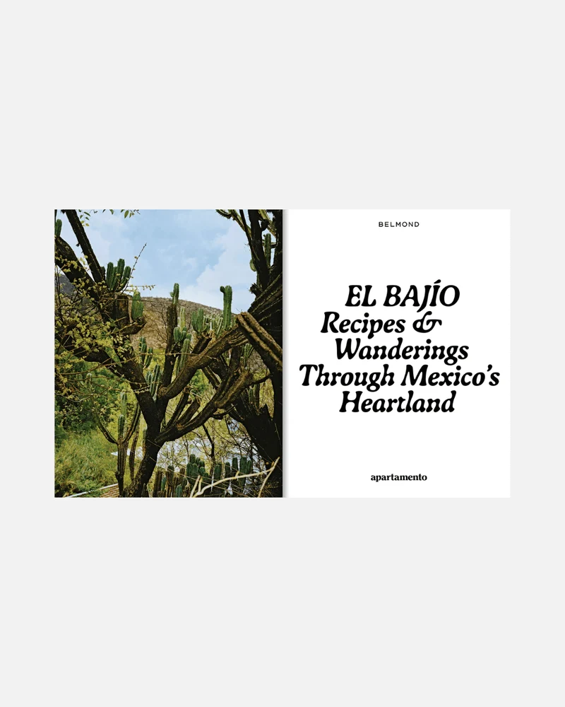 El Bajío: Recipes & Wanderings Through Mexico (Englische Ausgabe)
