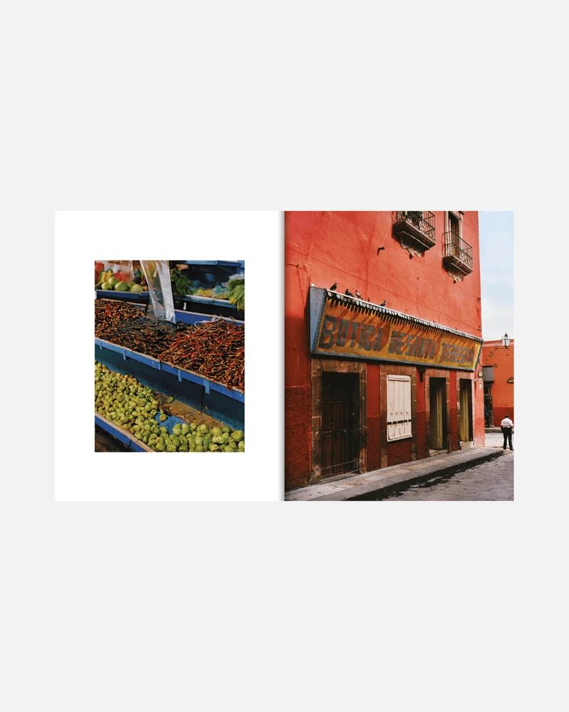 El Bajío: Recipes & Wanderings Through Mexico (Englische Ausgabe)