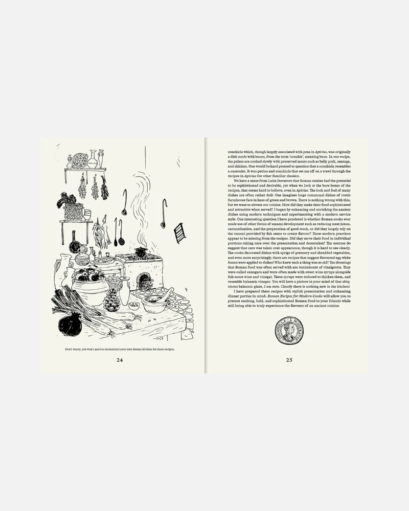Roman Recipes for Modern Cooks (Englische Ausgabe)