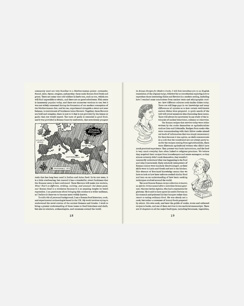 Roman Recipes for Modern Cooks (Englische Ausgabe)