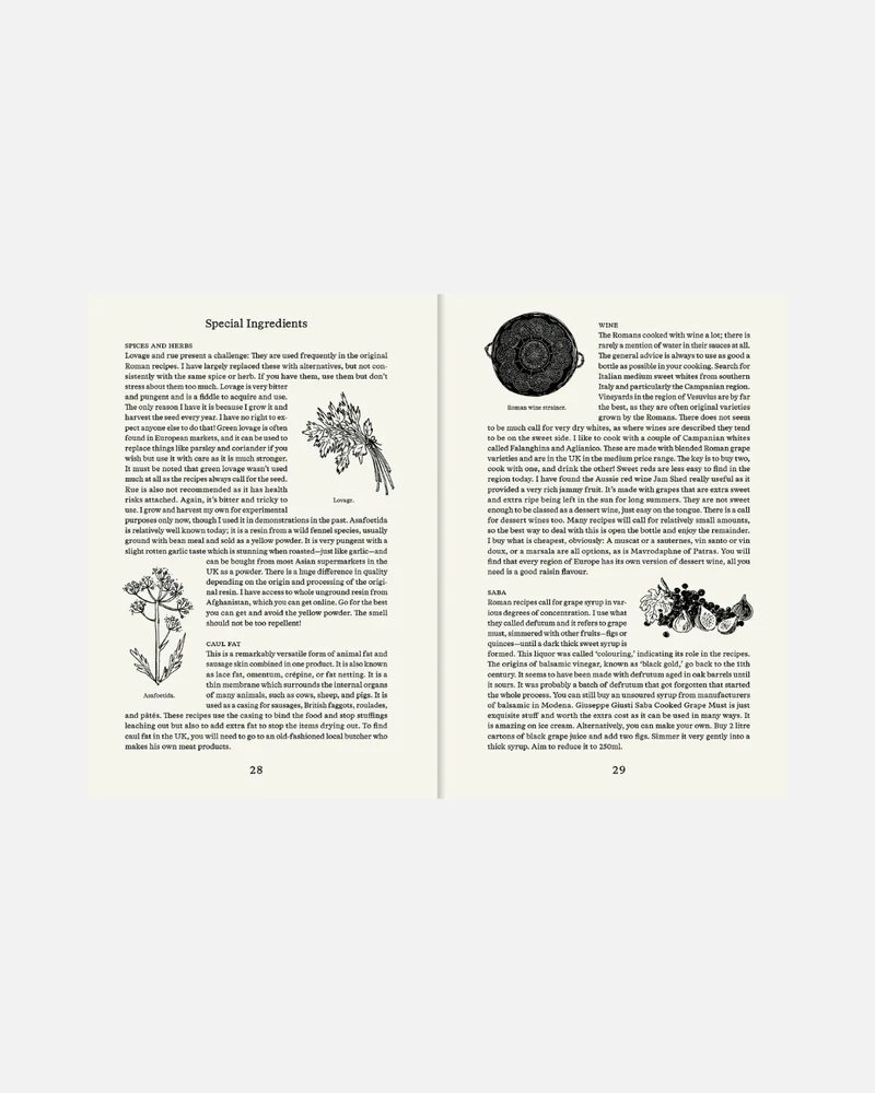 Roman Recipes for Modern Cooks (Englische Ausgabe)