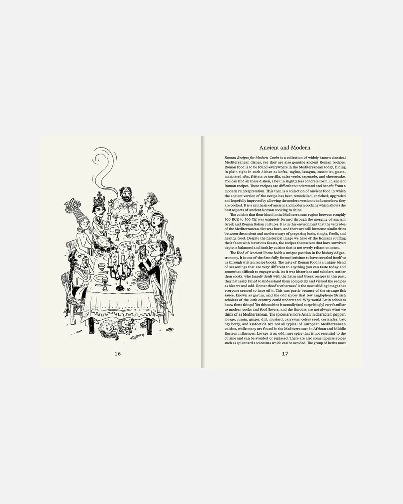 Roman Recipes for Modern Cooks (Englische Ausgabe)