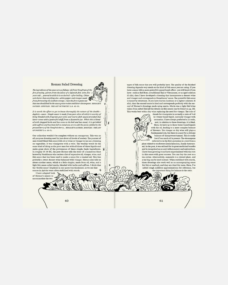 Roman Recipes for Modern Cooks (Englische Ausgabe)