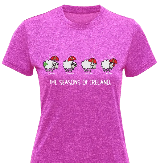 The Seasons of Ireland T-Shirt – Funny Irish Weather Sheep Tee | Irish Humor Gift | Rainy Ireland Shirt