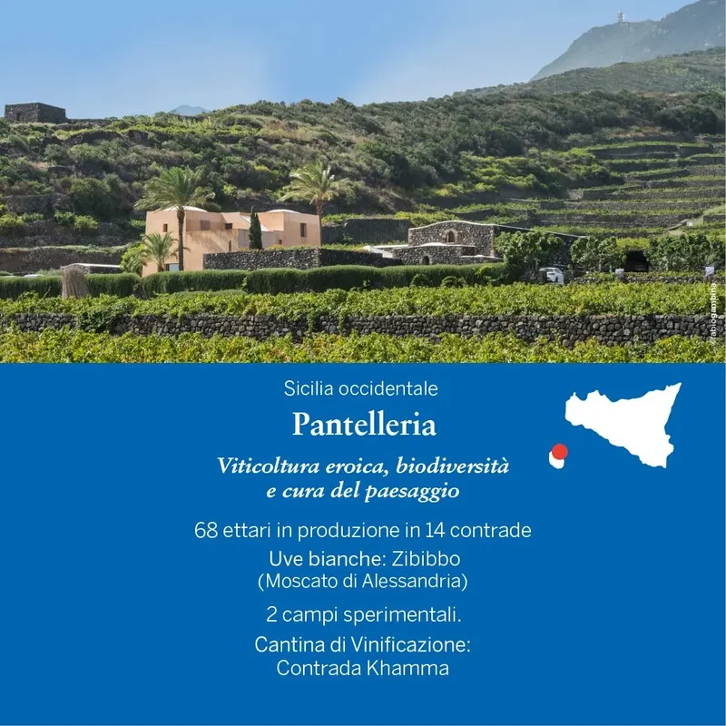Ben Ryé 2019 Passito di Pantelleria Doc - in astuccio, Donnafugata, 0,75L