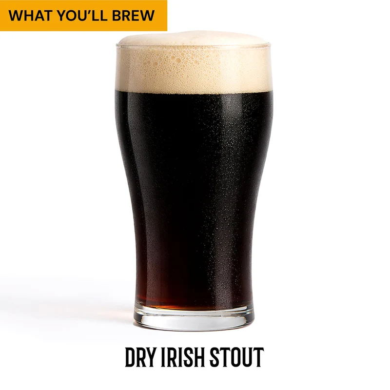 Craft A Brew Recipe Kit - Bone Dry Irish Stout Refill - 1 Gallon - Ingredients for Home Brewing Beer