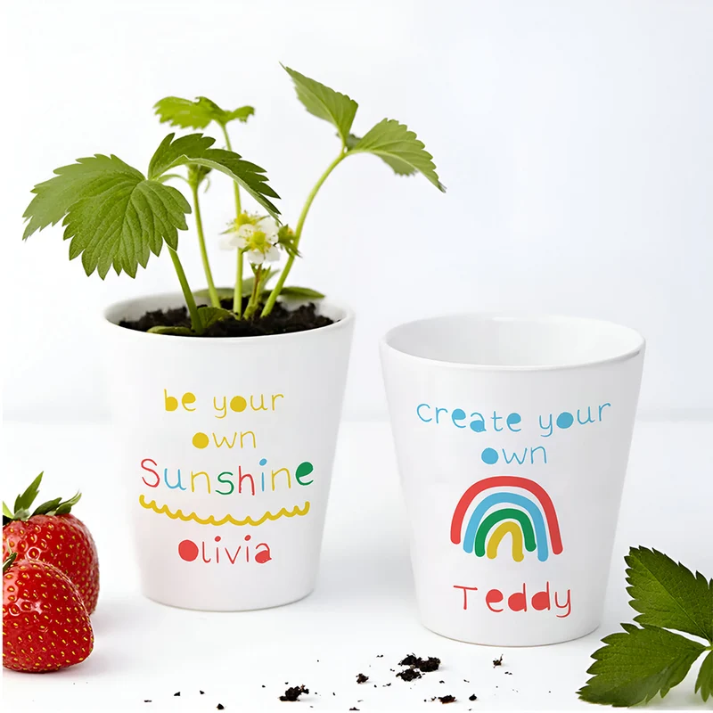 Personalised Personalised Child's Sunshine Plant Pot