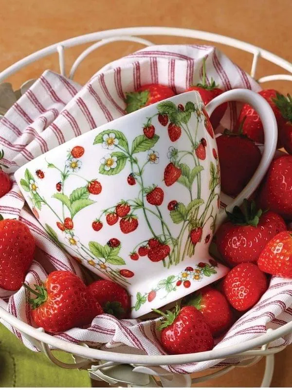Dunoon Skye Wild Strawberries Mug