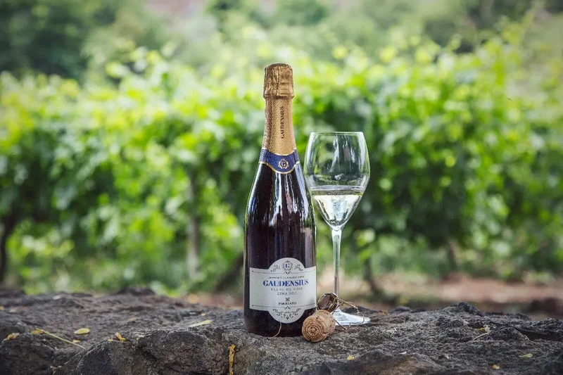 GAUDENSIUS BLANC DE NOIR Etna D.O.C. Metodo Classico Brut Nerello Mascalese, Cantina Firriato