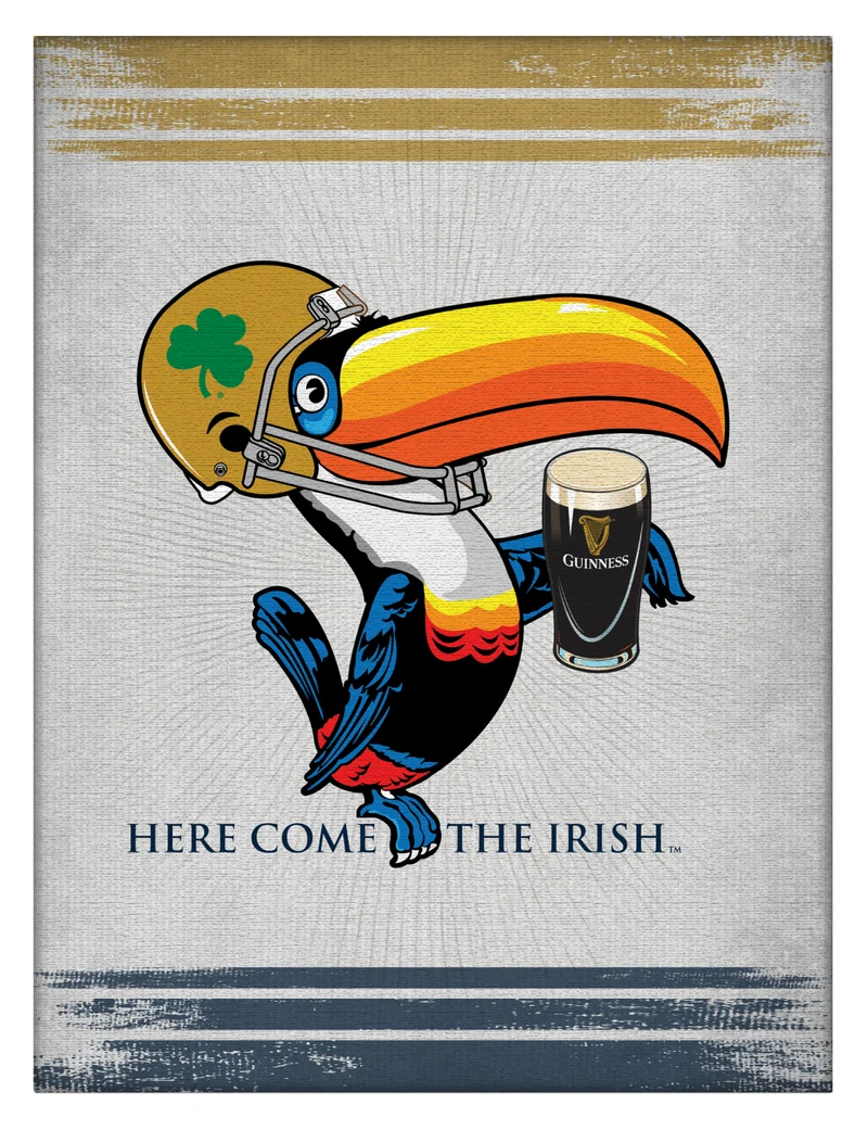 Guinness Notre Dame Toucan Canvas Wall Art
