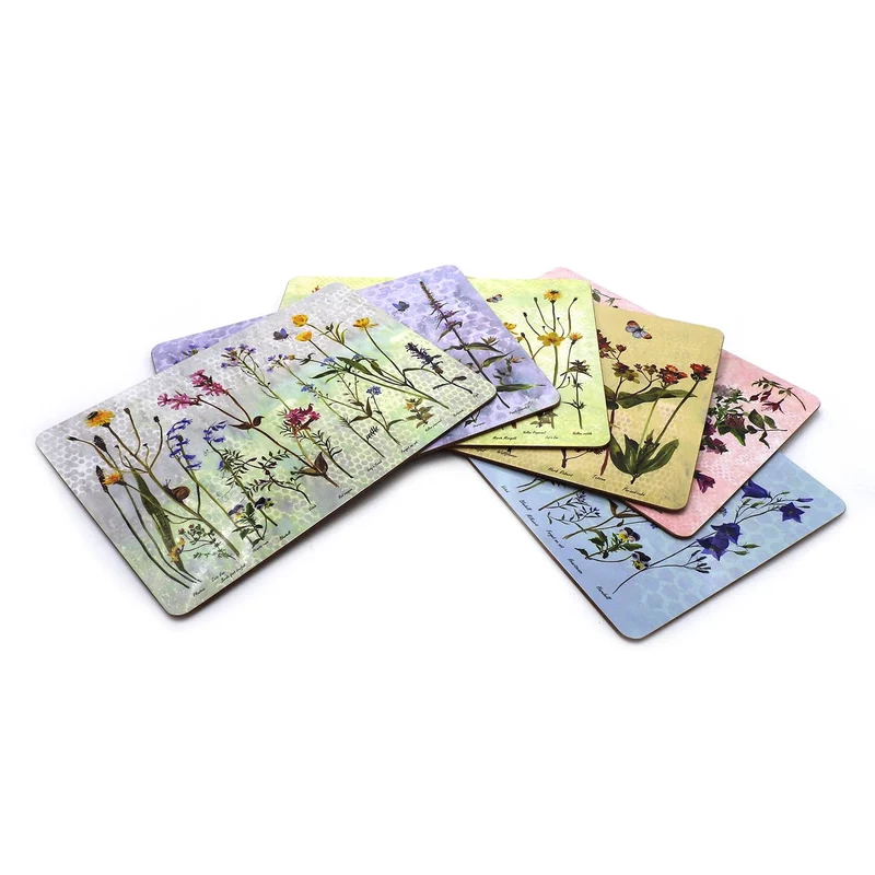Wildflower Placemats Gift Box Set of 6