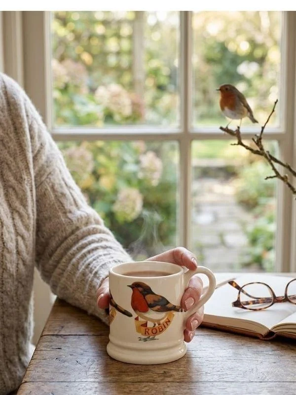 Emma Bridgewater Robin 1/2 Pint Mug