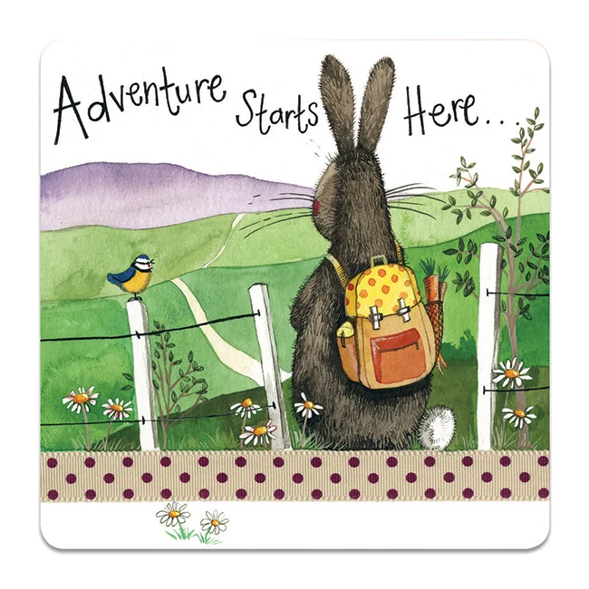 Alex Clark Adventure Rabbit Coaster