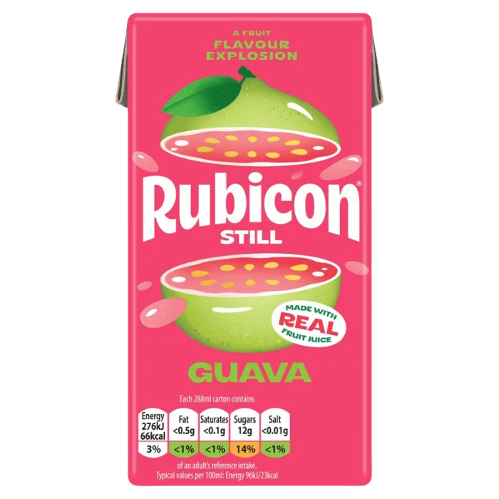 RUBICON Guavasaft still Tetrapak 288ML Tropisches Guava Fruchtsaftgetränk