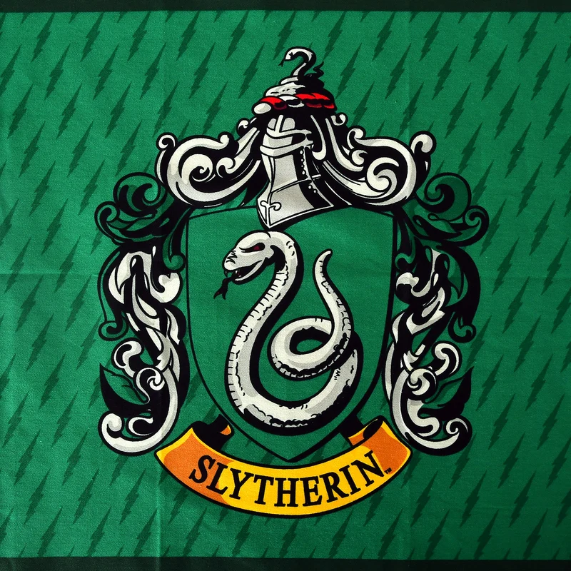 Harry Potter - Slytherin & Hogwarts Geschirrtücher Set