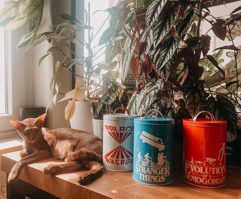 Stranger Things - Silhouette Dosen 3er Set