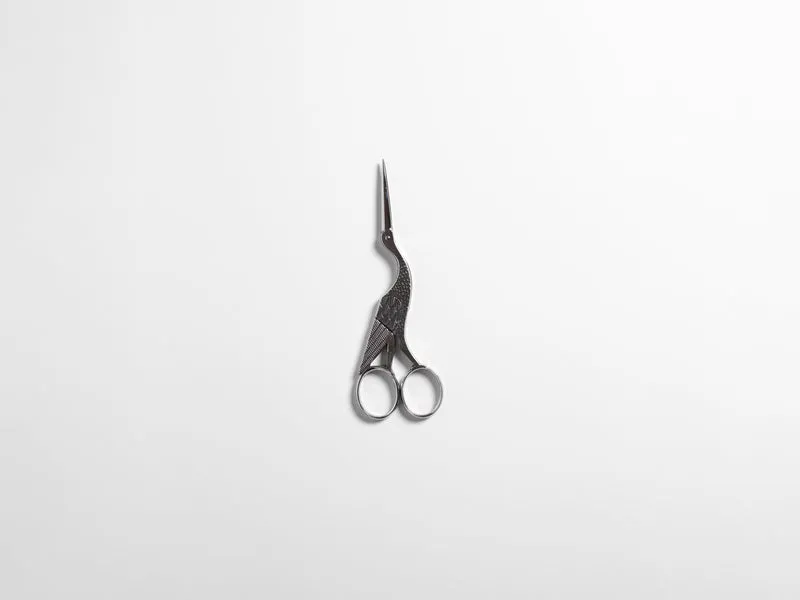 ANTIQUE SCISSORS IN CARBON STEEL