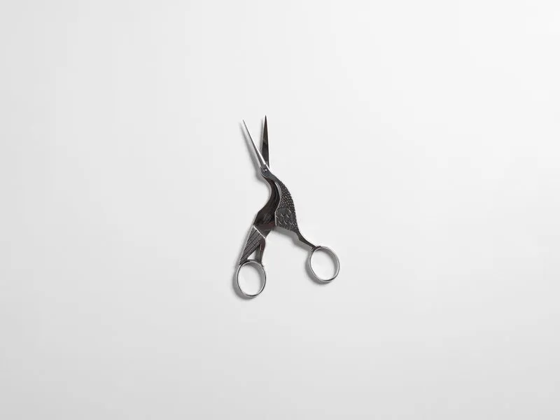 ANTIQUE SCISSORS IN CARBON STEEL