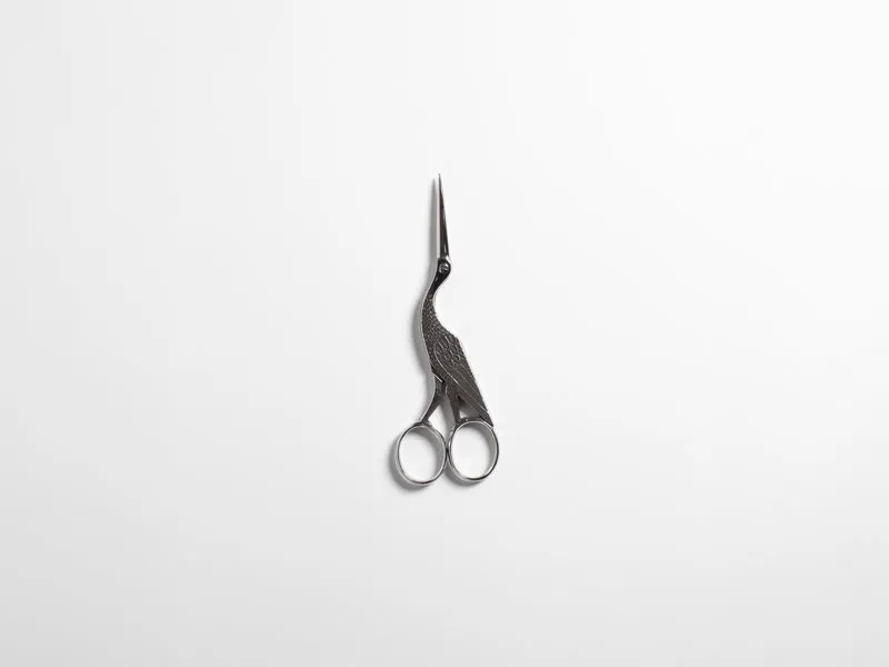ANTIQUE SCISSORS IN CARBON STEEL