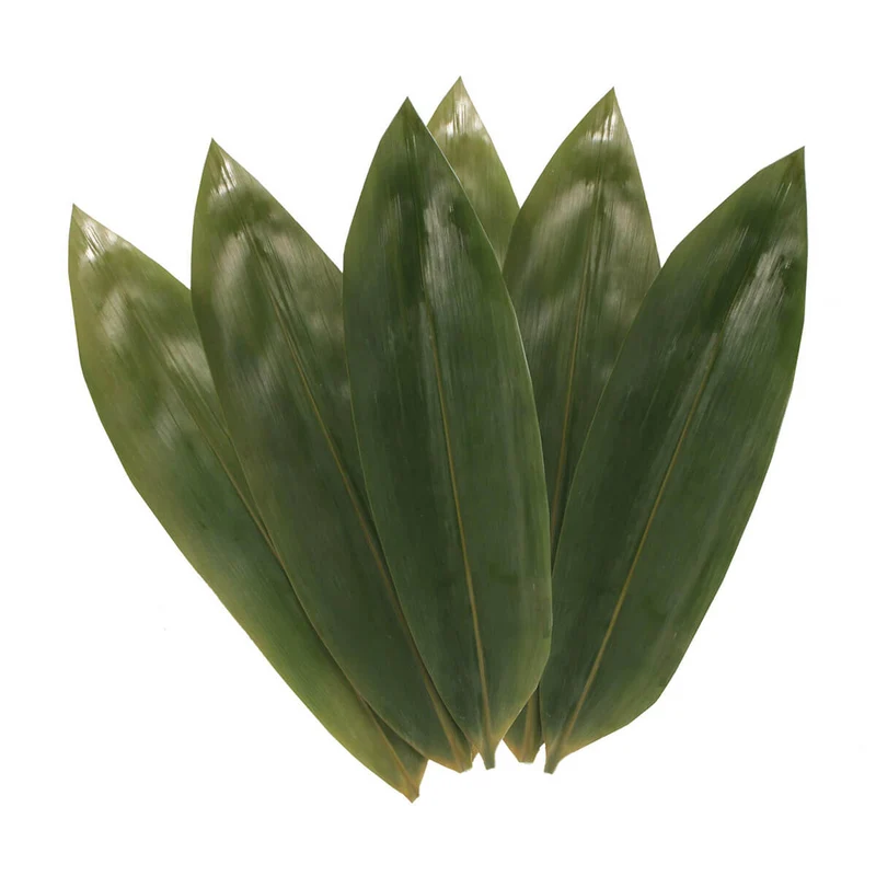 Sakura Jirushi Bamboo Leaves Inoueteng - 100 Leaves per Packet