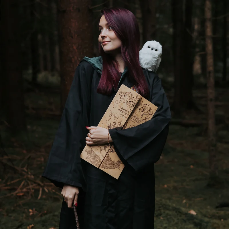 Karte des Rumtreibers - Harry Potter