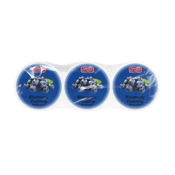RICO Nata de Coco Blueberry 195G Heidelbeer Pudding mit Kokosgel