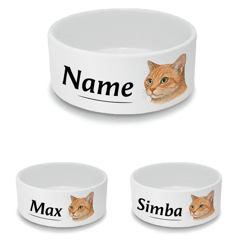 Personalised Small Cat Bowl with Ginger Cat Design