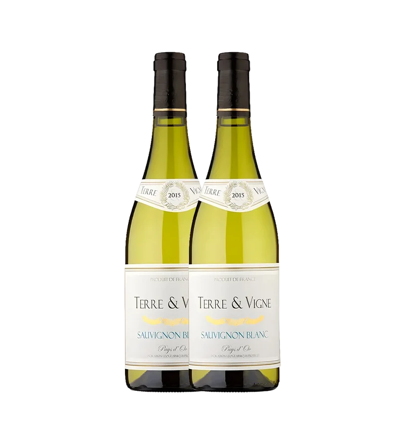 Terre Elements Sauvignon Blanc 750ml Pack of 2