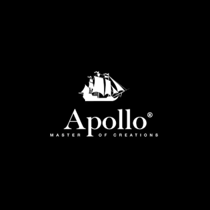 Apollo Cajun Seasoning, Netherlands - 2KG