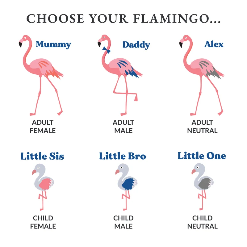 Flamingo Mug Set Personalised Gift For Families - Matching Flamingoes Mugs