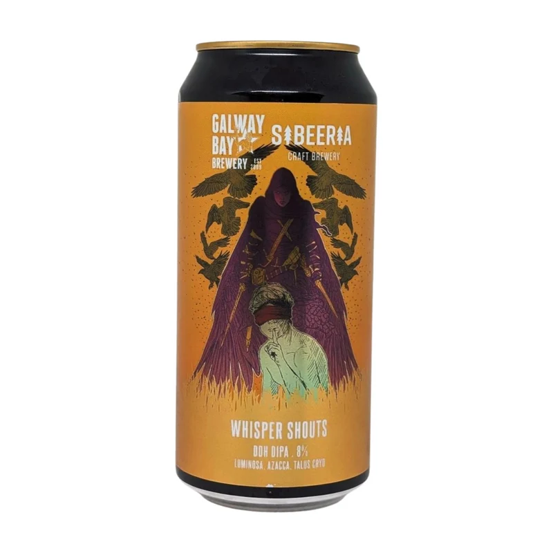 Galway Bay Celestial Floods | DIPA