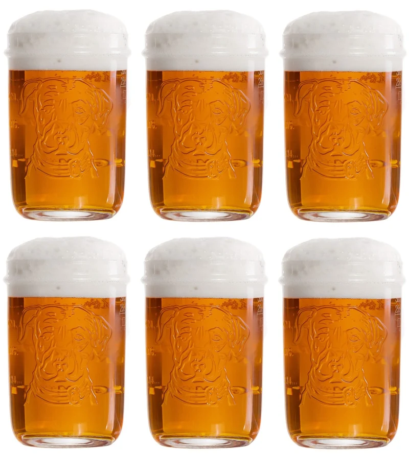 Lagunitas Biergläser 300 ml - 6 Stück