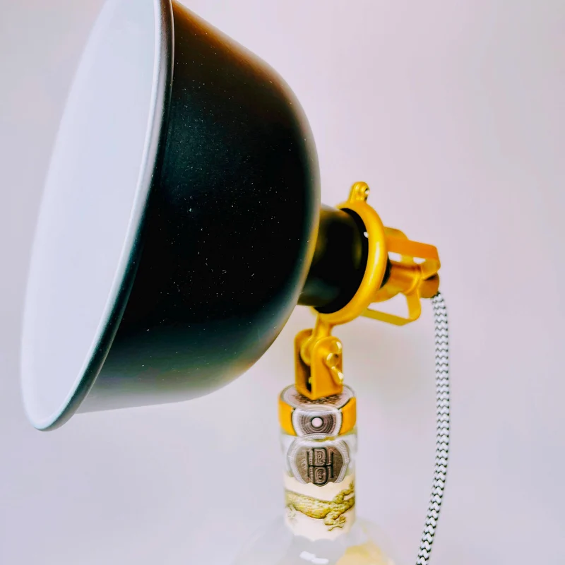 Don Papa Rum Lampe | Handgemachte Upcycling Tischlampe aus Don Papa Rum Flasche | Einzigartige Geschenkidee | Deko