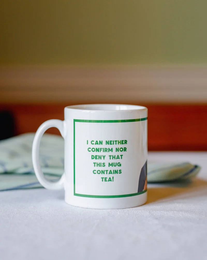 Gerry Adams Mug | Derry Nice Things
