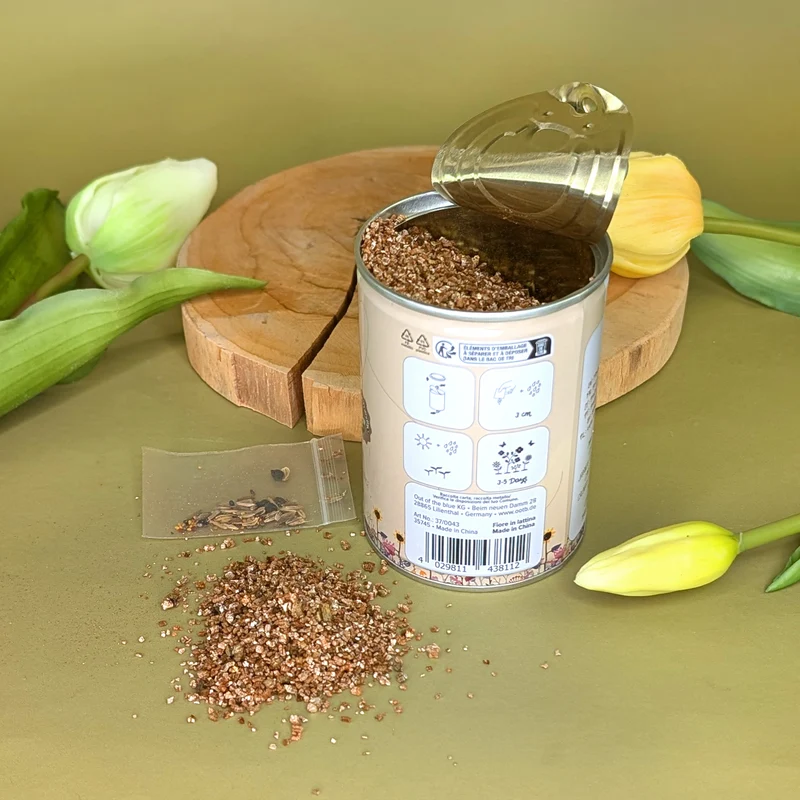Blumenwiese in der Dose – bunte Auswahl an Blumensamen zum Selberziehen!