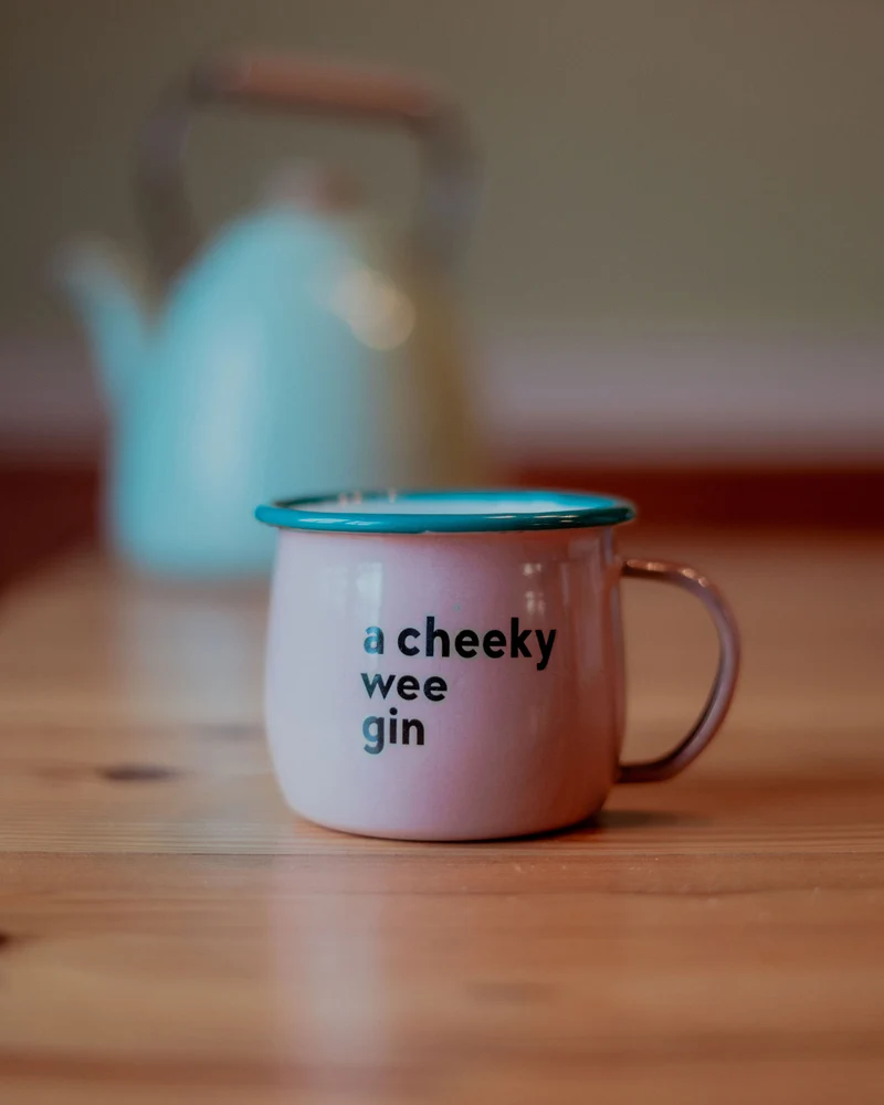 A Cheeky Wee Gin Enamel Mug | Born & Bred