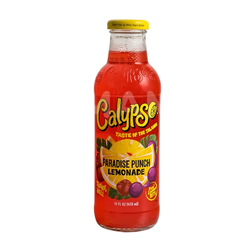 CALYPSO Lemonade Paradise Punch 473ML