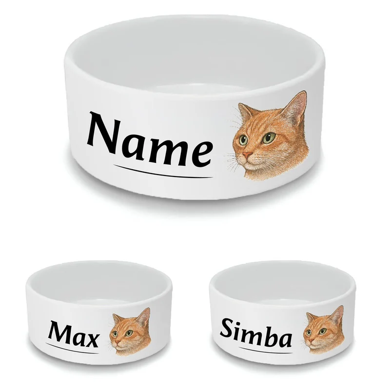 Personalised Cat Bowl with Ginger Cat Design