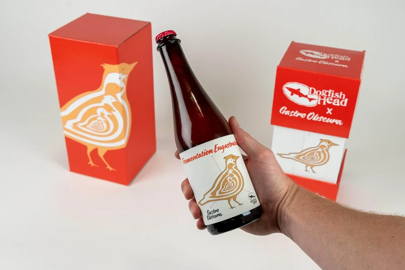Fermentation Engastration by Dogfish Head X Gastro Obscura