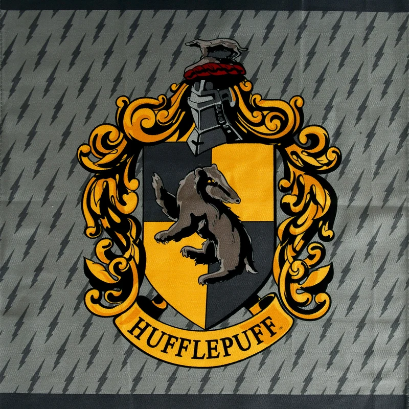 Harry Potter - Hufflepuff & Hogwarts Geschirrtücher Set