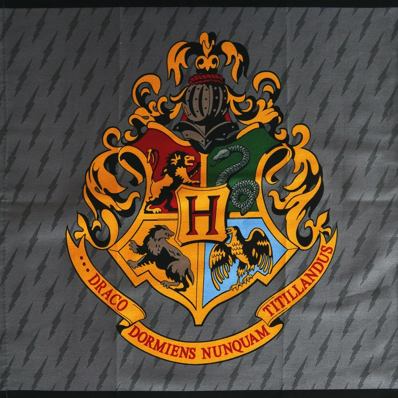 Harry Potter - Karte des Rumtreibers & Hogwarts Geschirrtücher Set
