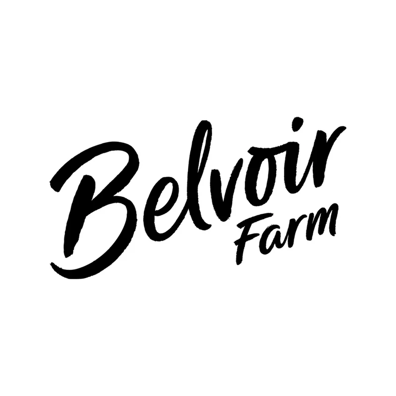 Belvoir Farm Elderflower Cordial, UK - 500ML