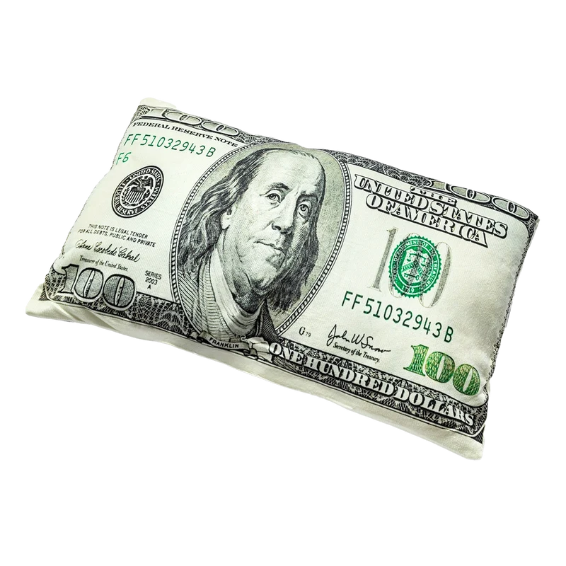 Kissen "Dollarschein"