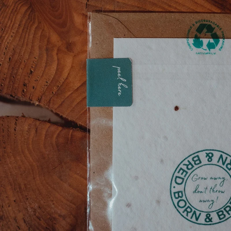 Alright Bud | Shamrock Seed Card | Born & Bred