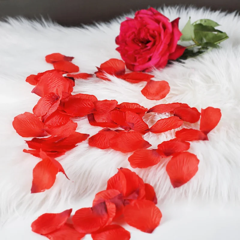 Rote Rosenblütenblätter